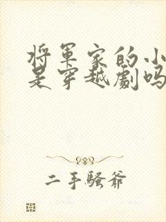 将军家的小娘子是穿越剧吗