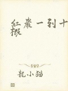 红岩一到十章梗概