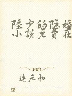 陆少的隐婚罪妻小说免费在线阅读