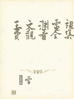 王文渊电视剧免费观看全集