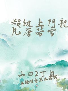 超级上门龙婿叶凡唐若雪
