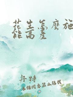 花生怎么施肥才能高产