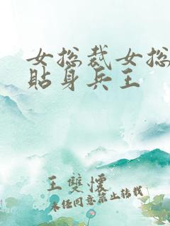 女总裁女总裁的贴身兵王