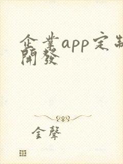 企业app定制开发