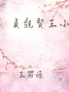 贞观贤王小说