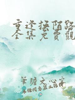 重逢换陌路短剧全集免费观看