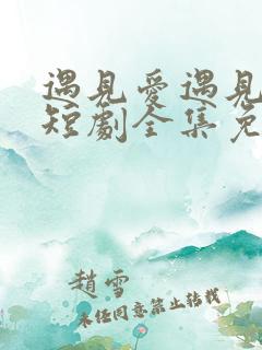 遇见爱遇见幸福短剧全集免费观看