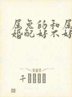 属兔的和属兔的婚配好不好