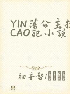 YIN荡公主挨CAO记小说