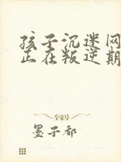 孩子沉迷网络还正在叛逆期怎么办