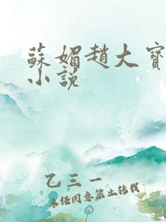 苏媚赵大宝赵勇小说