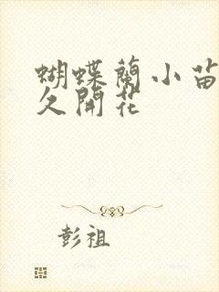 蝴蝶兰小苗养多久开花