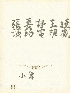 张嘉译王晓晨主演的电视剧
