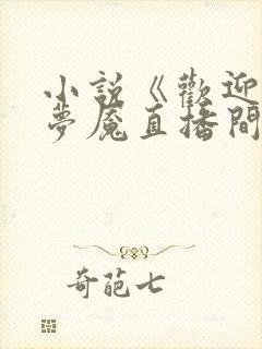 小说《欢迎进入梦魇直播间》