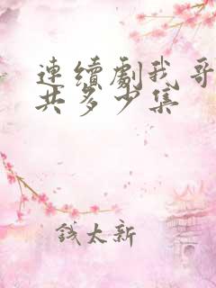 连续剧我哥我嫂共多少集