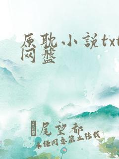 原耽小说txt网盘