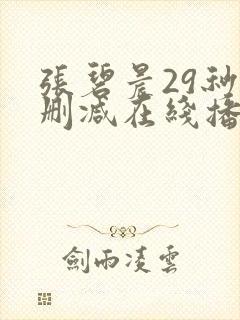 张碧晨29秒无删减在线播放