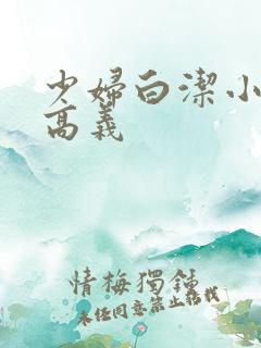 少妇白洁小说 高义