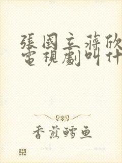 张国立蒋欣演的电视剧叫什么名字