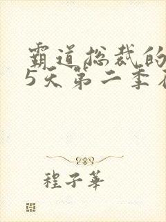 霸道总裁的365天第二季在线