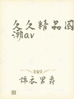 久久精品国产高潮av