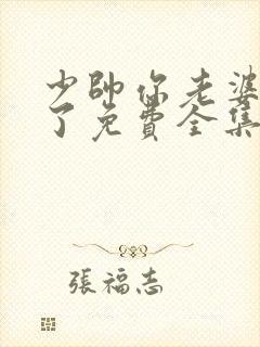 少帅你老婆又跑了免费全集