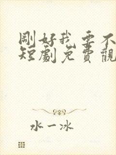 刚好我要不爱你短剧免费观看