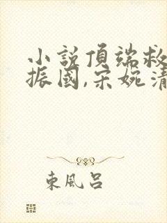小说顶端救赎赵振国,宋婉清