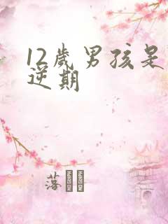 12岁男孩是叛逆期