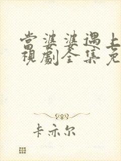 当婆婆遇上妈电视剧全集免费