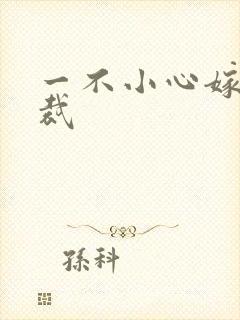 一不小心嫁了总裁