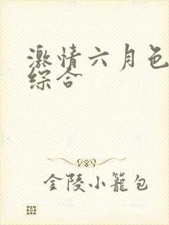 激情六月色婷婷综合