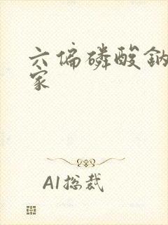 六偏磷酸钠 厂家