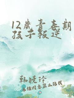 12岁青春期男孩子叛逆