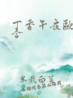 丁香午夜欧美综合