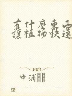 有什么东西能够让植物快速生根发芽