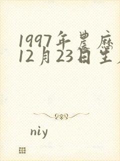 1997年农历12月23日生辰八字