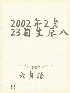 2002年2月23日生辰八字