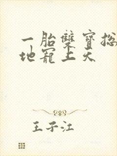 一胎双宝总裁爹地宠上天