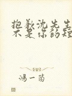 抱歉沈先生孩子不是你的短剧免费
