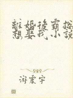 离婚后霸总天天想娶我小说免费