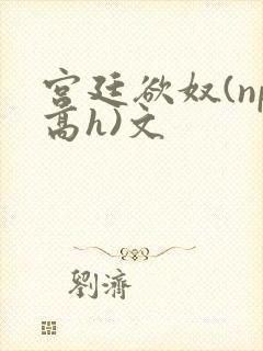 宫廷欲奴(np高h)文