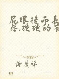 屁眼后面长大疙瘩,硬硬的有点疼