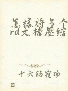 怎样将多个word文档压缩为一个