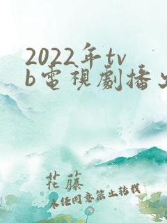 2022年tvb电视剧播出表