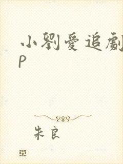 小刘爱追剧app