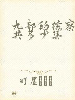 九部的检察官一共多少集