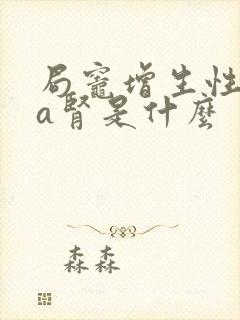 局灶增生性iga肾是什么