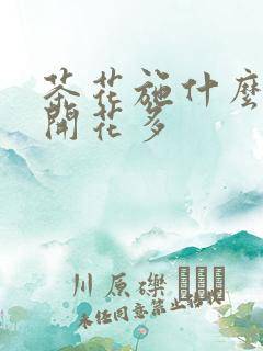 茶花施什么肥料开花多