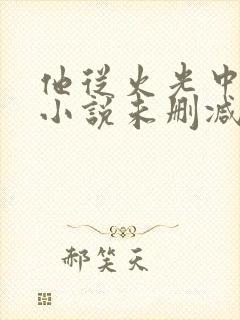 他从火光中走来小说未删减版